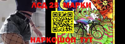 гидропоника Кингисепп