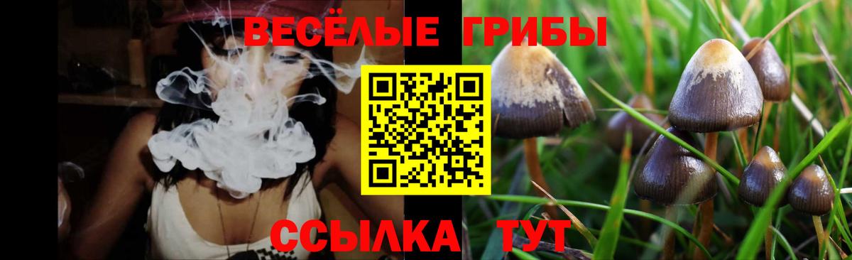 Псилоцибиновые грибы GOLDEN TEACHER Кубинка